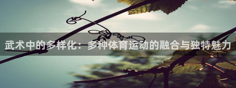 k1体育网址
