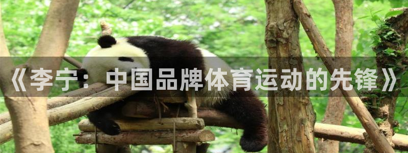 k1体育下载地址