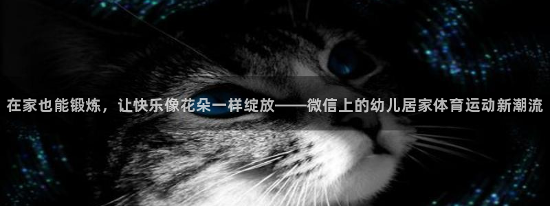 k1体育娱乐