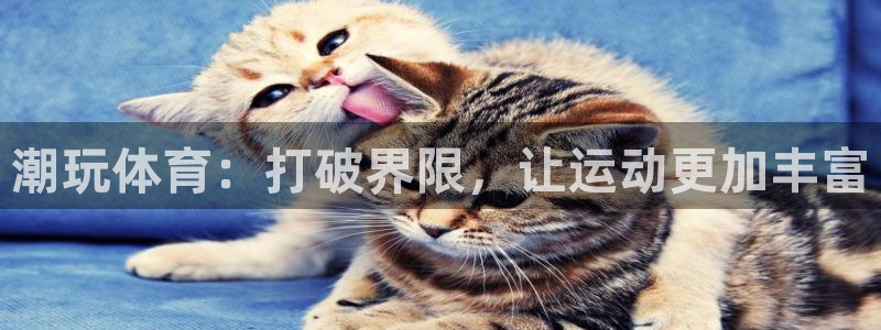 k1体育入口