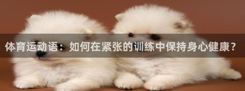 k1体育app：体育运动语：如何在紧张的训练中保持身心健康？