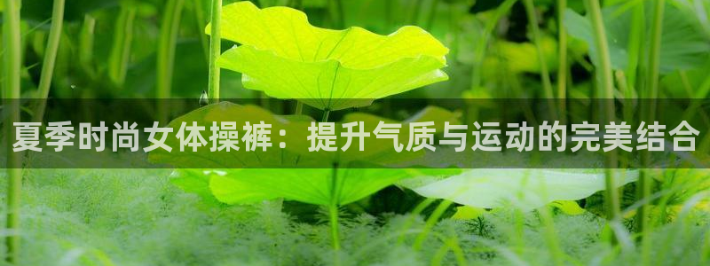 k1体育app下载链接：夏季时尚女体操裤：提升气质与运动的完美结合