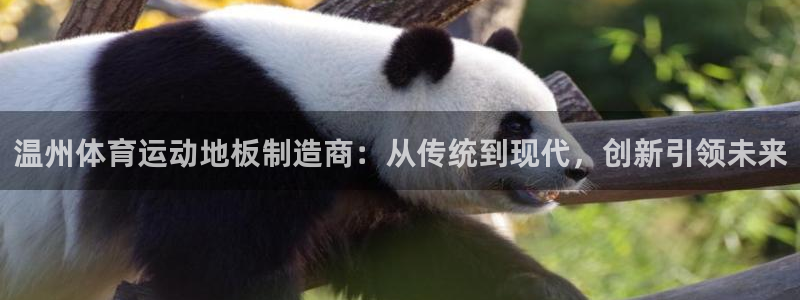 k1体育十年登录入口：温州体育运动地板制造商：从传统到现代，创新引领未来