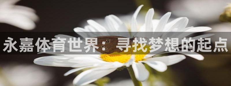 k1体育平台最新网站下载