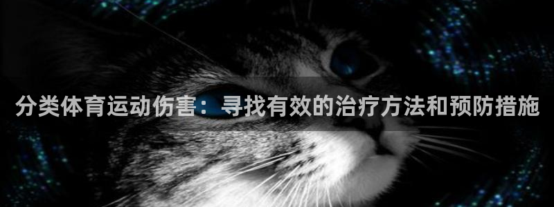 k1体育app