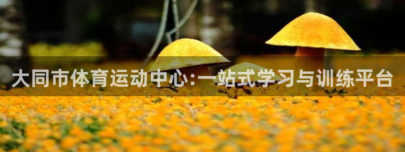 k1体育十年品牌值得信赖：大同市体育运动中心:一站式学习与训练平台